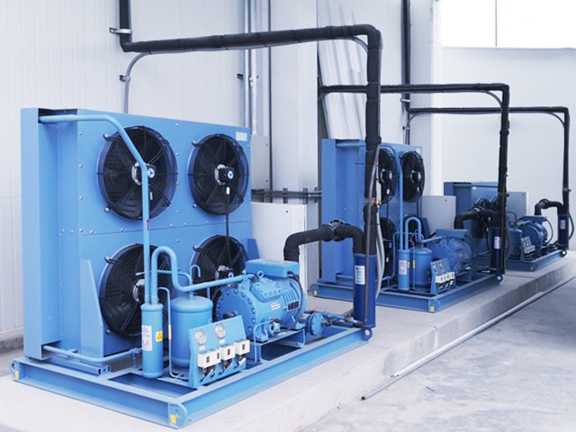 氟用半封閉活塞壓縮機蔬菜肉類冷藏速凍項目